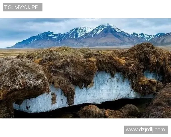 探索亚马尔地区的自然奇观与人文魅力，揭示北极边缘的独特生态与文化传承